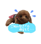 わたしのココアちゃん♡（個別スタンプ：14）