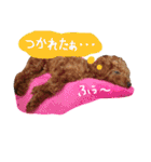 わたしのココアちゃん♡（個別スタンプ：17）