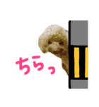 わたしのココアちゃん♡（個別スタンプ：19）