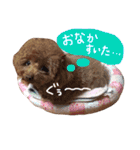 わたしのココアちゃん♡（個別スタンプ：21）