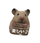 キンクマてぃーだくん（個別スタンプ：12）