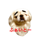 ワイマ日記スタンプ（個別スタンプ：11）