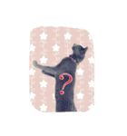 愛猫スタンプ（個別スタンプ：11）