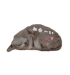 愛猫スタンプ（個別スタンプ：29）