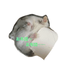 まったりおハム♡虎太郎（個別スタンプ：15）