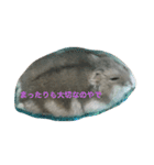 まったりおハム♡虎太郎（個別スタンプ：19）