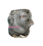 まったりおハム♡虎太郎（個別スタンプ：32）