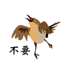 Bird body language（個別スタンプ：15）