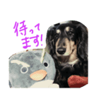 クロワンコ（個別スタンプ：8）