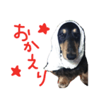 クロワンコ（個別スタンプ：9）