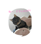 こまる2（個別スタンプ：2）