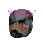 こまる2（個別スタンプ：6）