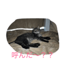 こまる2（個別スタンプ：7）