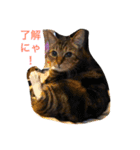 ウィンキー大好き（個別スタンプ：2）