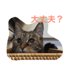 ウィンキー大好き（個別スタンプ：4）