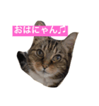 ウィンキー大好き（個別スタンプ：7）