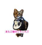 ウィンキー大好き（個別スタンプ：9）