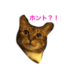 ウィンキー大好き（個別スタンプ：11）