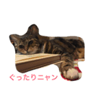 ウィンキー大好き（個別スタンプ：12）