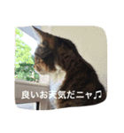 ウィンキー大好き（個別スタンプ：13）