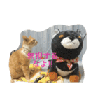 猫のみるく♪（個別スタンプ：9）