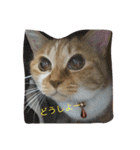 猫のみるく♪（個別スタンプ：11）