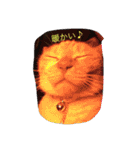 猫のみるく♪（個別スタンプ：29）