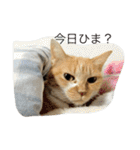 猫のみるく♪（個別スタンプ：32）