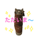 ねこた〜ちpart2（個別スタンプ：24）
