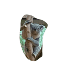 動物園でのんびり（個別スタンプ：4）