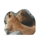 動物園でのんびり（個別スタンプ：7）