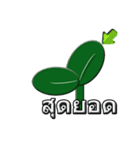 Pang-Emotion（個別スタンプ：1）