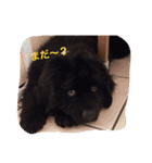 子供時代のかわいい姿（個別スタンプ：1）
