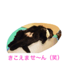 子供時代のかわいい姿（個別スタンプ：5）