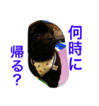 子供時代のかわいい姿（個別スタンプ：7）