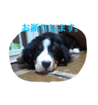 子供時代のかわいい姿（個別スタンプ：10）