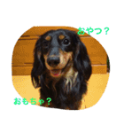 子供時代のかわいい姿（個別スタンプ：17）