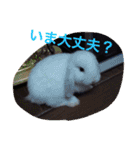 子供時代のかわいい姿（個別スタンプ：23）
