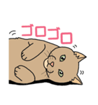 うちのニャンコたち（個別スタンプ：1）