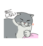 うちのニャンコたち（個別スタンプ：2）