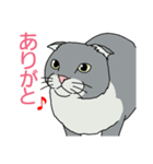 うちのニャンコたち（個別スタンプ：3）