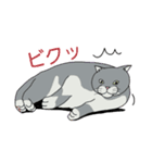 うちのニャンコたち（個別スタンプ：4）