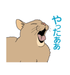 うちのニャンコたち（個別スタンプ：5）