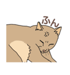 うちのニャンコたち（個別スタンプ：6）