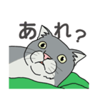 うちのニャンコたち（個別スタンプ：7）