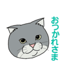 うちのニャンコたち（個別スタンプ：10）