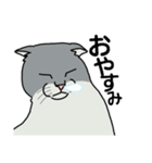 うちのニャンコたち（個別スタンプ：11）