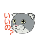 うちのニャンコたち（個別スタンプ：12）