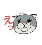 うちのニャンコたち（個別スタンプ：13）