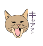 うちのニャンコたち（個別スタンプ：15）